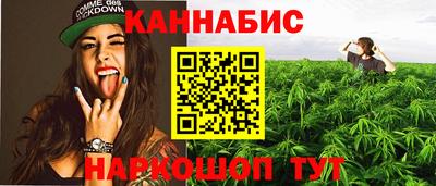 шишки Бийск