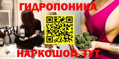 шишки Бийск