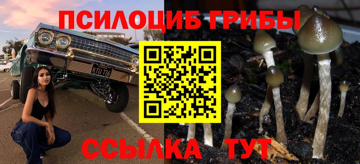 Псилоцибиновые грибы ЛСД  Вход с VPN  Гусиноозёрск 