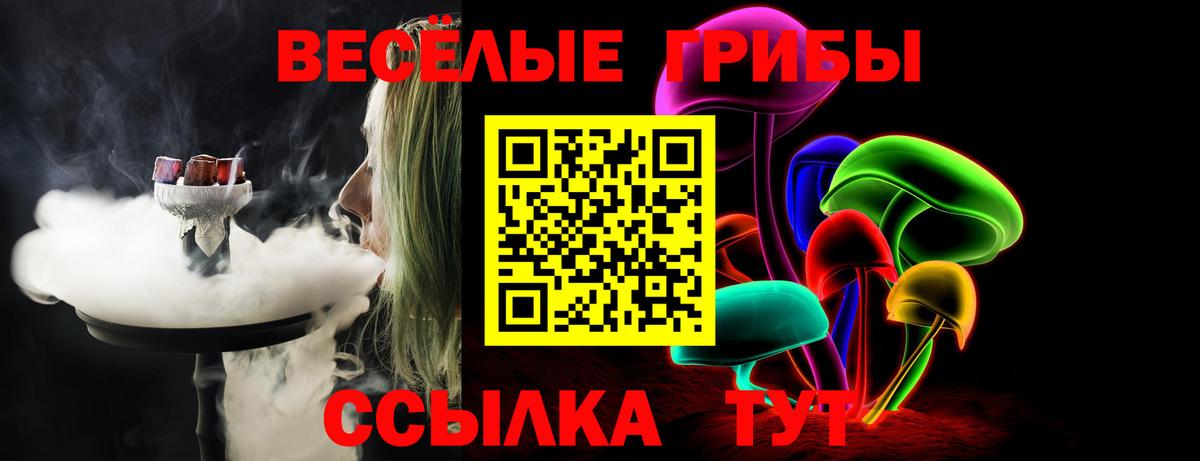 Галлюциногенные грибы ЛСД Гусиноозёрск